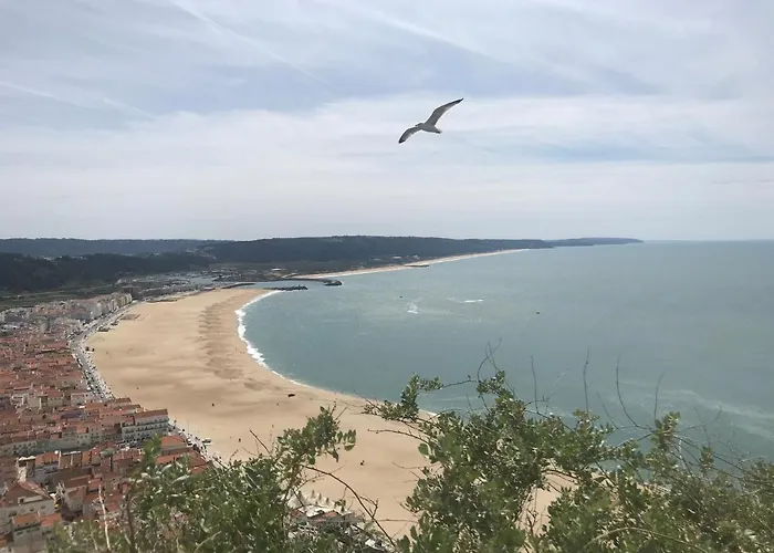 Duplex Lägenhet Nazaré